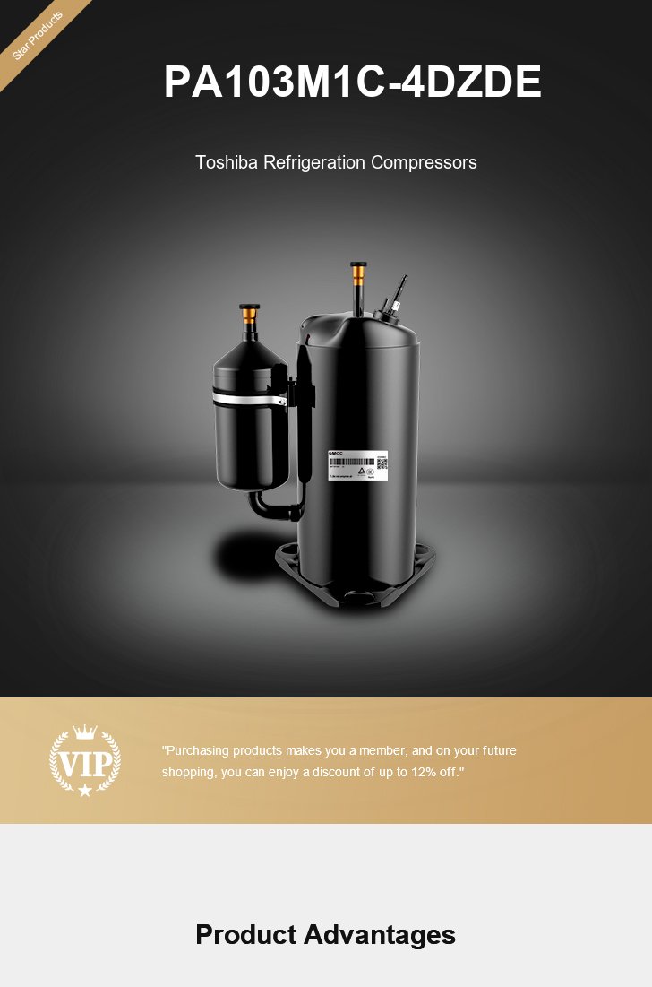 Toshiba Compressor PA103M1C-4DZDE, technical parameters pdf, structure diagram